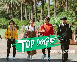 无忧视频《TOP DOG》免费在线观看