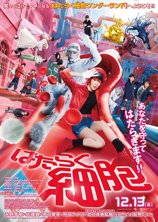 无忧传媒《工作细胞 真人版 はたらく細胞》免费在线观看