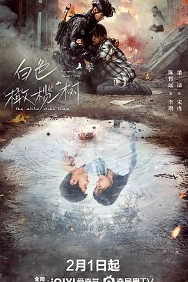 明星爆料《白色橄榄树》免费在线观看