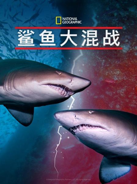 无忧视频《鲨鱼大混战》免费在线观看