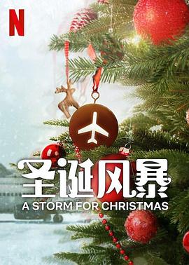 无忧传媒《圣诞风暴》免费在线观看
